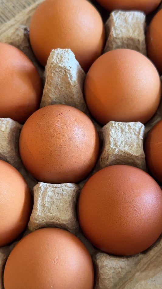 EGGS